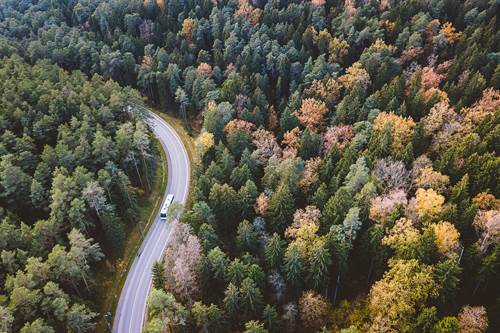 Strasse durch den Wald