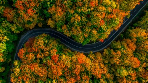 Strasse durch herbstliche W?lder