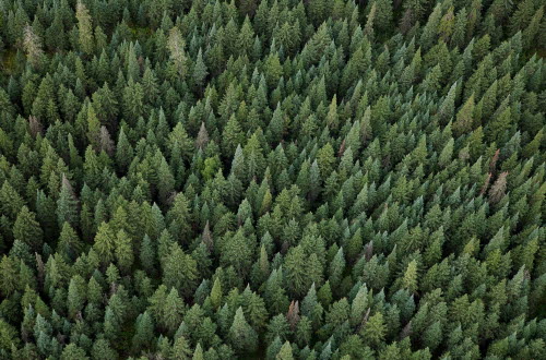 Odpowiedzialność za środowisko naturalne